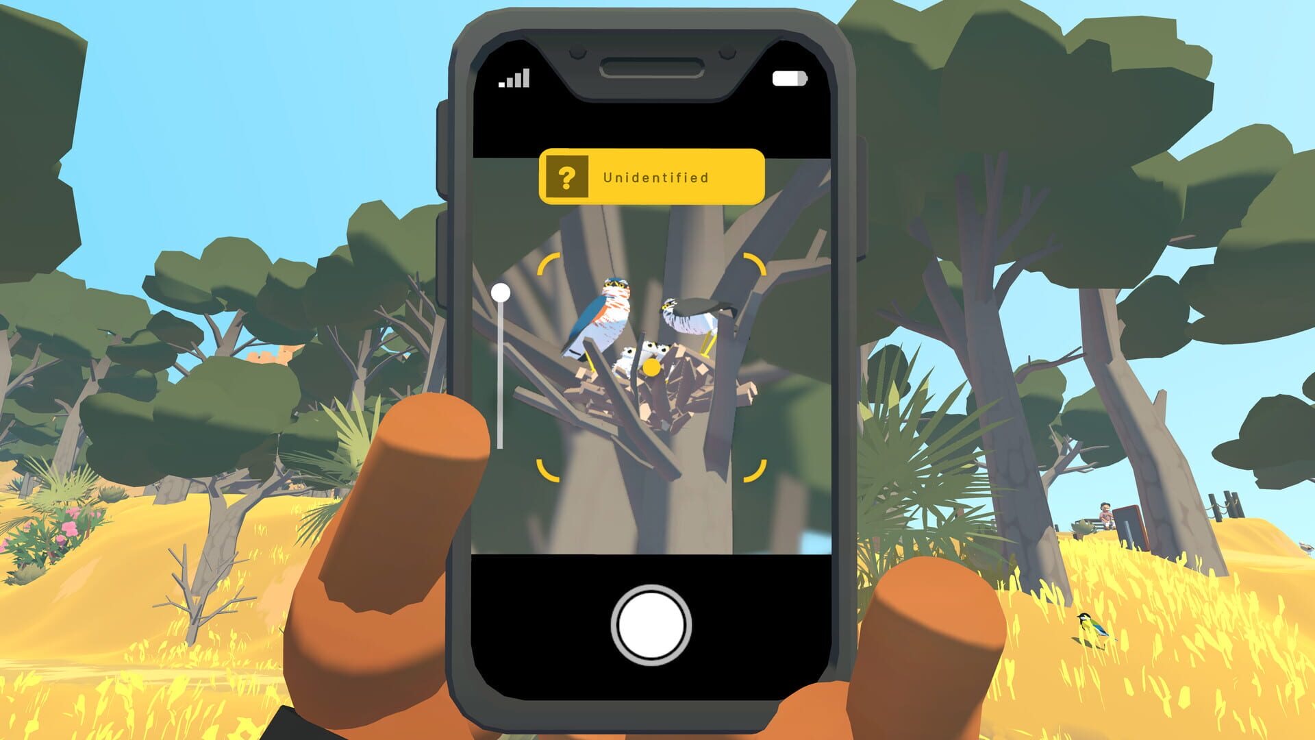 Alba A Wildlife Adventure — value and runtime on PC and console platforms