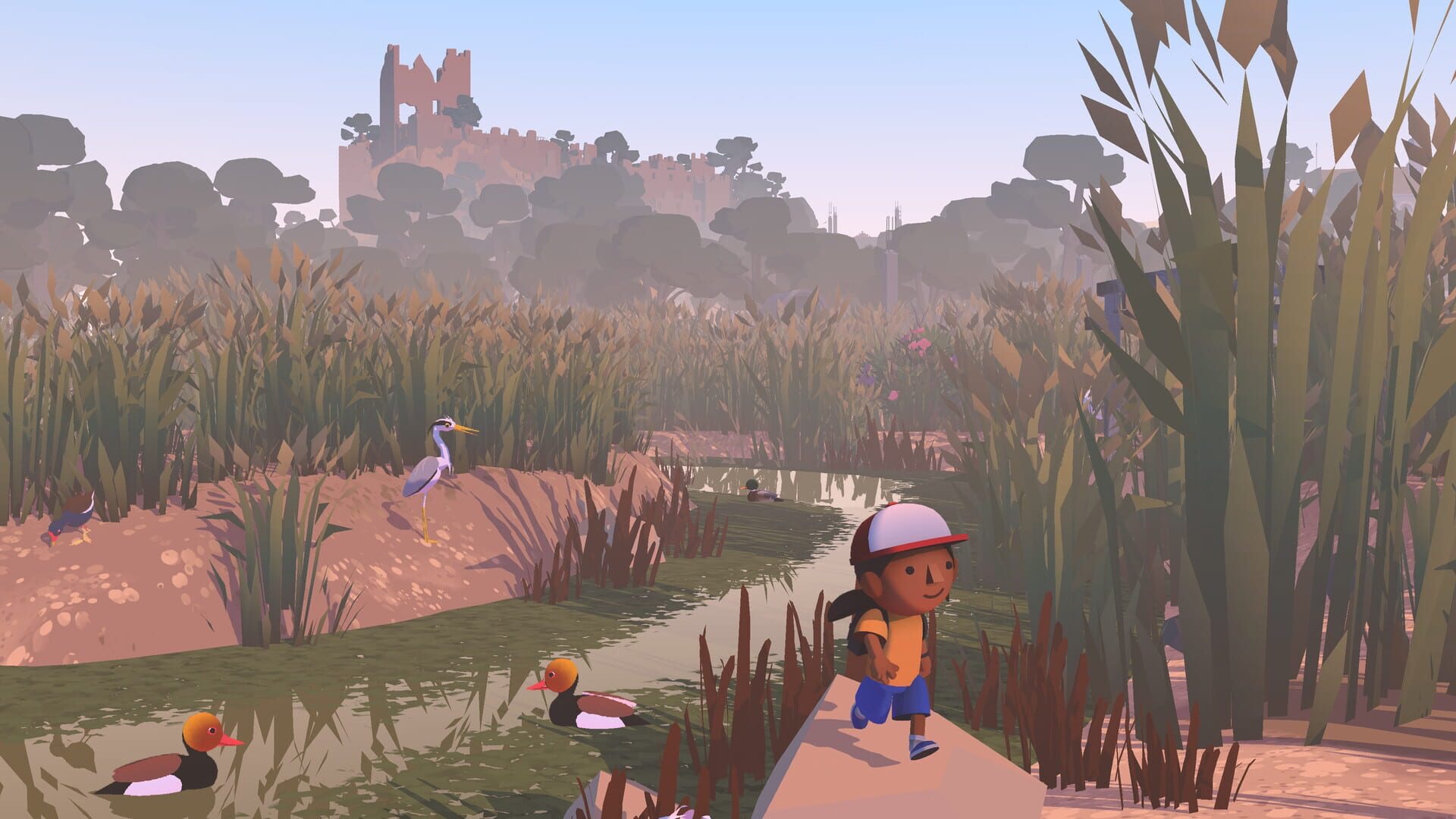 Alba A Wildlife Adventure — wildlife photography and conservation gameplay mechanics